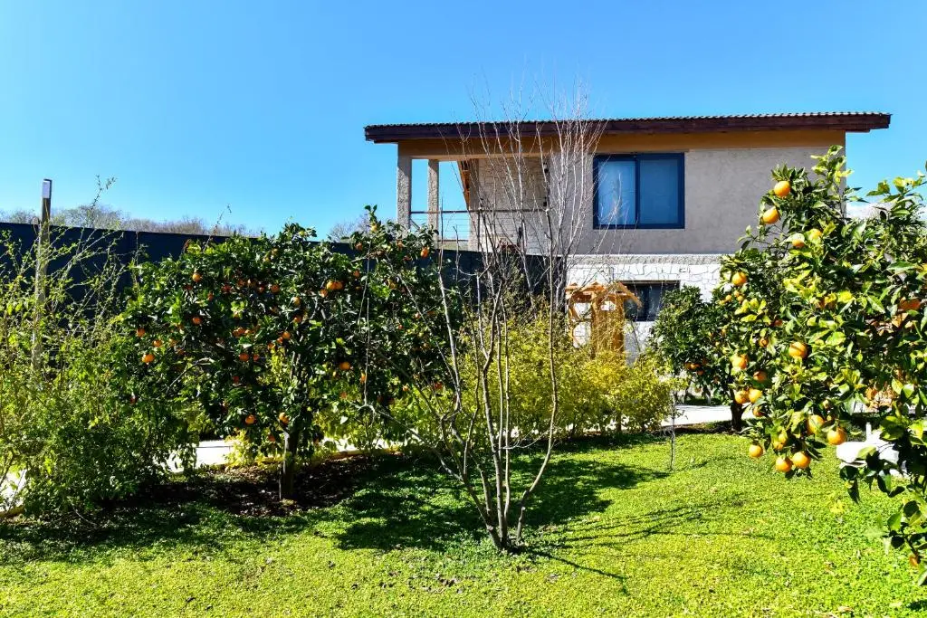 Garden area